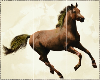 Wild Horses Comp. Cavallo Marrone