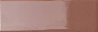 Bits Chestnut Gloss 132997