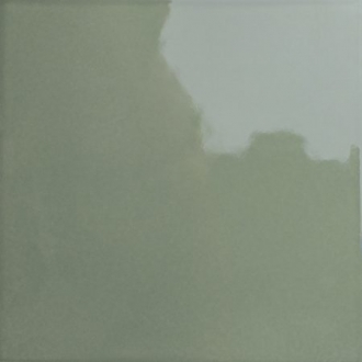 Bits Square Kale Gloss 133017