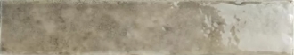 Potters Fossil 133179