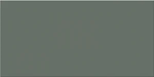 Керамогранит Wow Solid L Moss 12,5x25 матовый