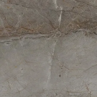 Astana Grey Nature Polished 100311863