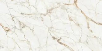 Calacatta Gold Polished 100271918