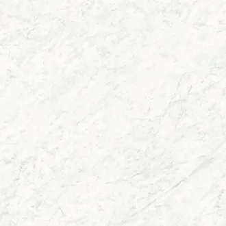 Carrara White Nature 100264822