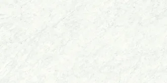 Carrara White Polished 100264825