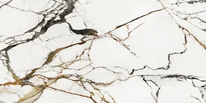 Керамогранит Xtone by Porcelanosa (Urbatek) 100333935 Paonazzo Biondo Polished 03 160x320 G-1054 полированный