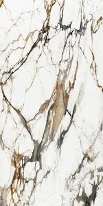 Керамогранит Xtone by Porcelanosa (Urbatek) 100333938 Paonazzo Biondo Polished Bm A 160x320 G-1054 полированный