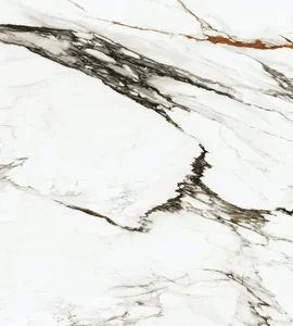 Керамогранит Xtone (Urbatek) Paonazzo Biondo Polished 100288108 120x120 полированный