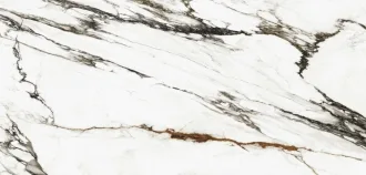 Paonazzo Biondo Polished 100288098