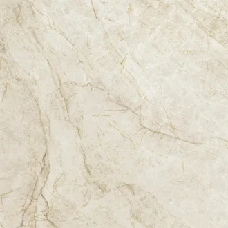 Taj Mahal Polished 100288118