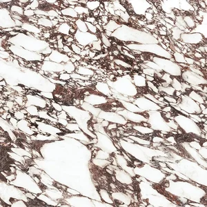 Керамогранит Xtone (Urbatek) Viola Rosse Silk 100288019 120x120 сатинированный