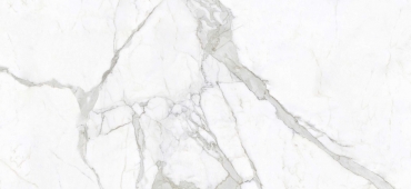 Керамогранит Zodiac Calacatta Bianco Matt MN011AY281206 120x280 матовый