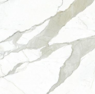 Calacatta Bianco Polished MN011AP271206