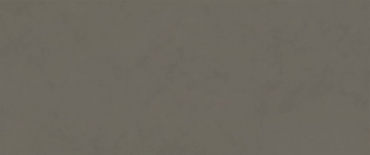Керамогранит Zodiac Cement Bronze Matt MN321BY281206 120x280 матовый