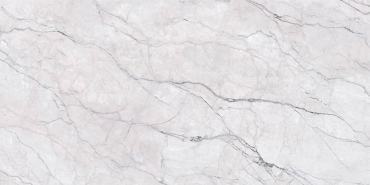 Керамогранит Zodiac Forest Super White Extra Matt MN257AY281206 120x280 матовый