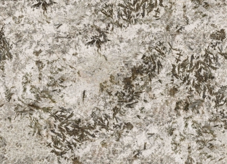 Frozen Fox Polished (6 мм) MN627BP261206