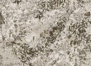 Керамогранит Zodiac Frozen Fox Polished (6 мм) MN627BP261206 120x260 полированный