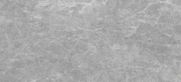Керамогранит Zodiac Iron Grey Matt MN227AY261206 120x260 матовый