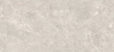 Керамогранит Zodiac Platinum Leica Polished MN226AP281206 120x280 полированный