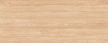 Керамогранит Zodiac Classico Oak Matt MN117AY301206 120x300 матовый