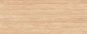 Керамогранит Zodiac Classico Oak Matt MN117AY301206 120x300 матовый