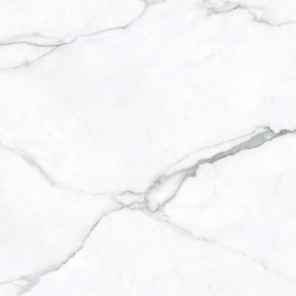 Statuario Oro Matt MN022AY271206