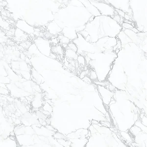 Керамогранит Zodiac Statuario White Matt MN019AYD121209 120x120 матовый