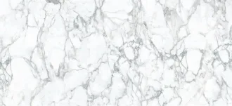 Staturio Venato Gloss MN027AP261206
