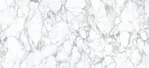 Керамогранит Zodiac Staturio Venato Gloss MN027AP261206 120x260 глянцевый