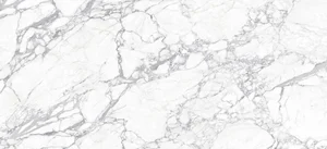 Керамогранит Zodiac Staturio White Matt MN019AY261206 120x260 матовый