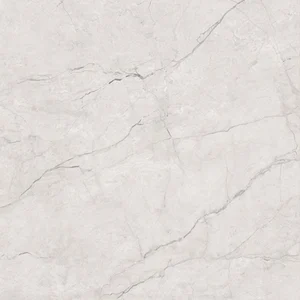 Керамогранит Zodiac Super White Extra Matt MN257AYD121209 120x120 матовый