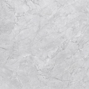 Керамогранит Zodiac Super White Matt MN293AYD121209 120x120 матовый