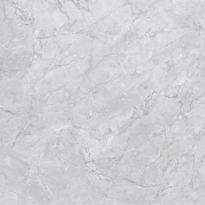 Керамогранит Zodiac Super White Matt MN293AYD121209 120x120 матовый