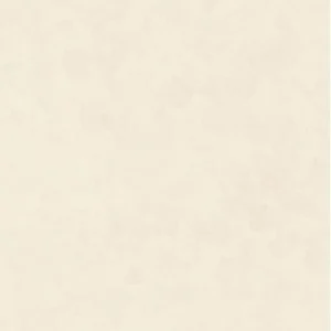 Керамогранит Zodiac Terra Cashmere Matt MN223AYE121209 120x120 матовый