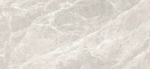 Керамогранит Zodiac Van Gogh Grey Polished MN262AP281206 120x280 полированный