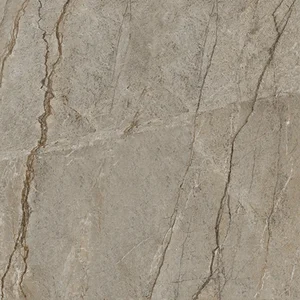 Керамогранит Zodiac Wild Forest Matt MN327AYD121209 120x120 матовый