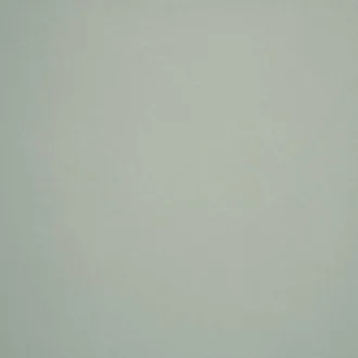 0429 Gris