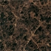 06626 T.Zar-M/P