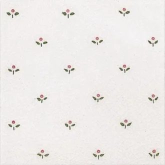 ADMO6013 Decorado Mimosa PB Rosa C/C B