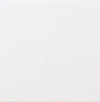 ADNE1025 Liso PB Blanco Z
