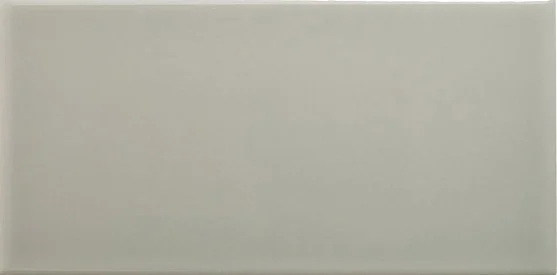 Плитка Adex ADNE1094 Liso PB Silver Mist 10x20 глянцевая