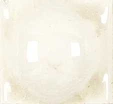 ADNE8017 Taco Esfera Biscuit