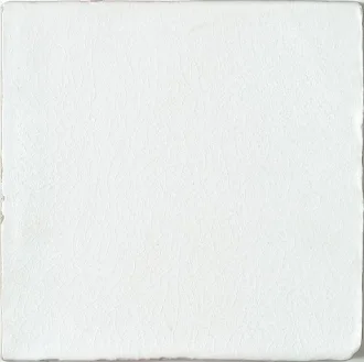 ADNT1005 Liso Snow