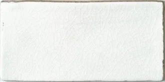ADNT1010 Liso Snow