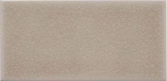 ADOC1003 Sand Dollar