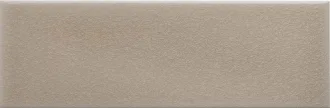 ADOC1007 Sand Dollar