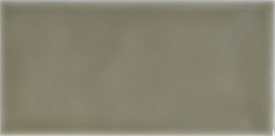 Плитка Adex ADST1022 Liso Eucalyptus 9,8x19,8 глянцевая