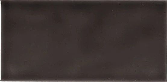 Плитка Adex ADST1024 Liso Volcanico 9,8x19,8 глянцевая