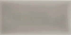 Плитка Adex ADST1027 Liso Graystone 9,8x19,8 глянцевая