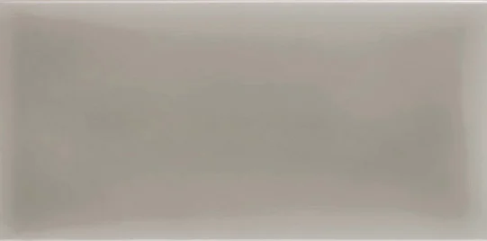 Плитка Adex ADST1027 Liso Graystone 9,8x19,8 глянцевая